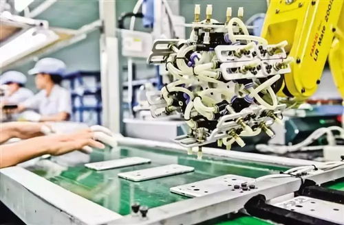 Various Cupcakes Designs